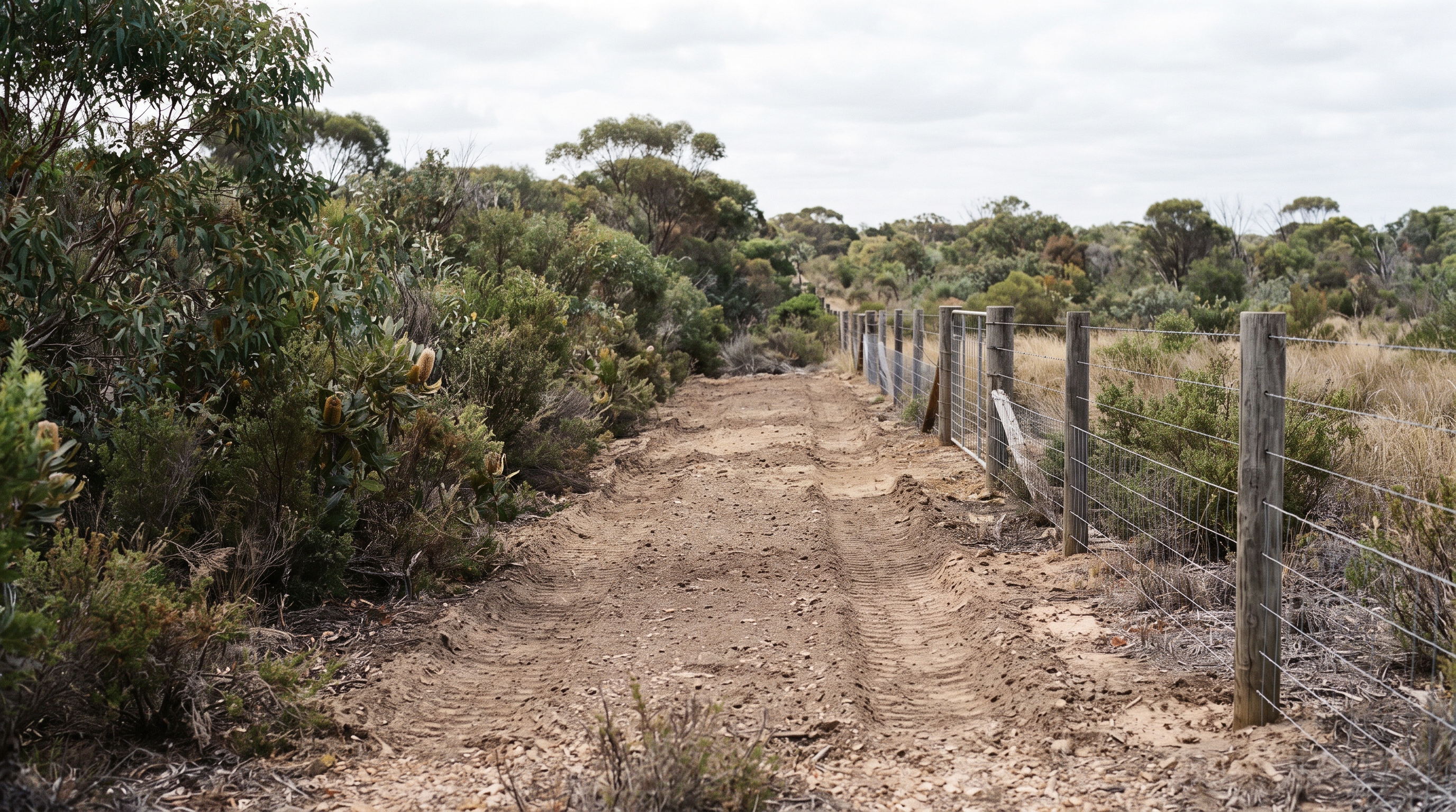 Denmark Shire Landowners Face Firebreak Inspections from December 1